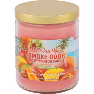 Smoke Odor Maui Wowie Mango Candle